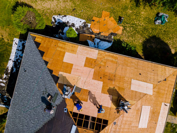 Best Roof Gutter Cleaning  in Somers, MT